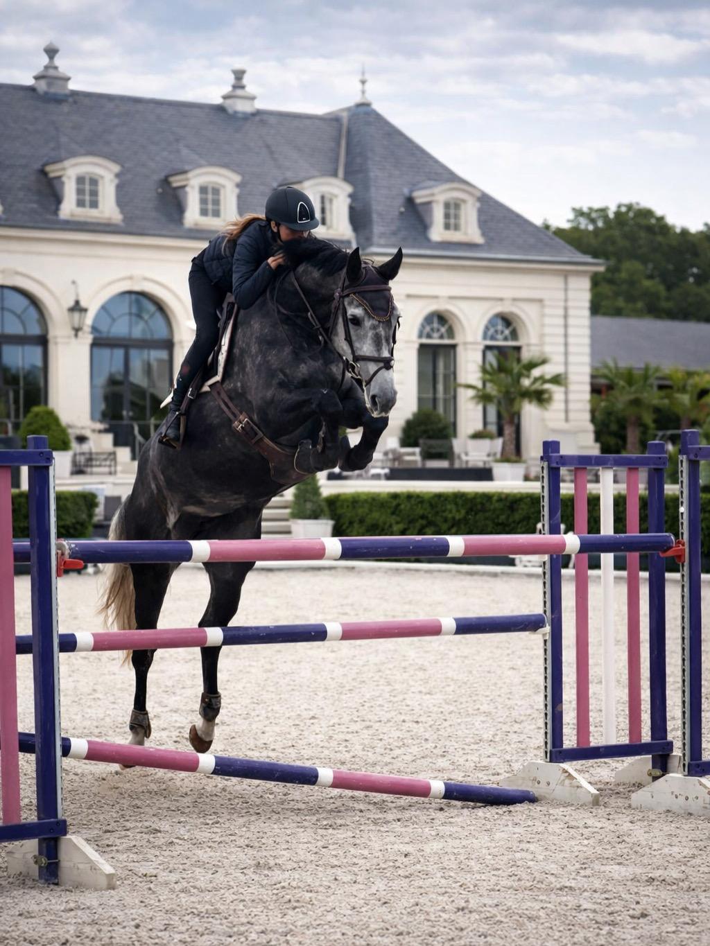 Seranno — exceptional broodmare for sport horse breeding