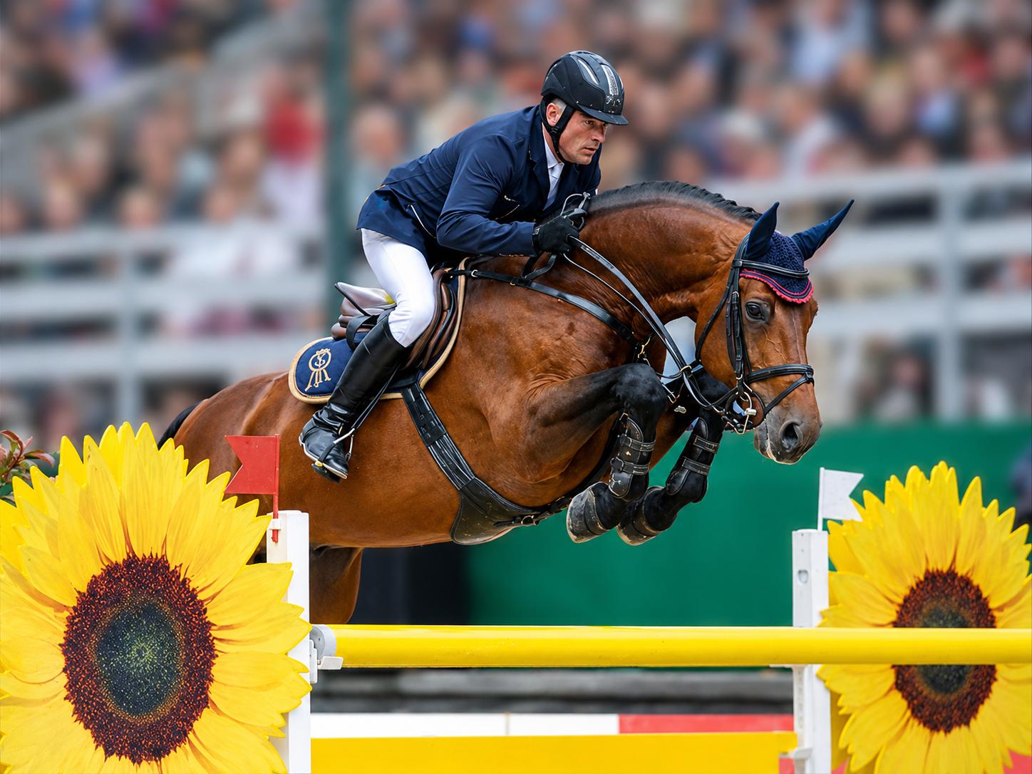 Chacco Blue showjumping